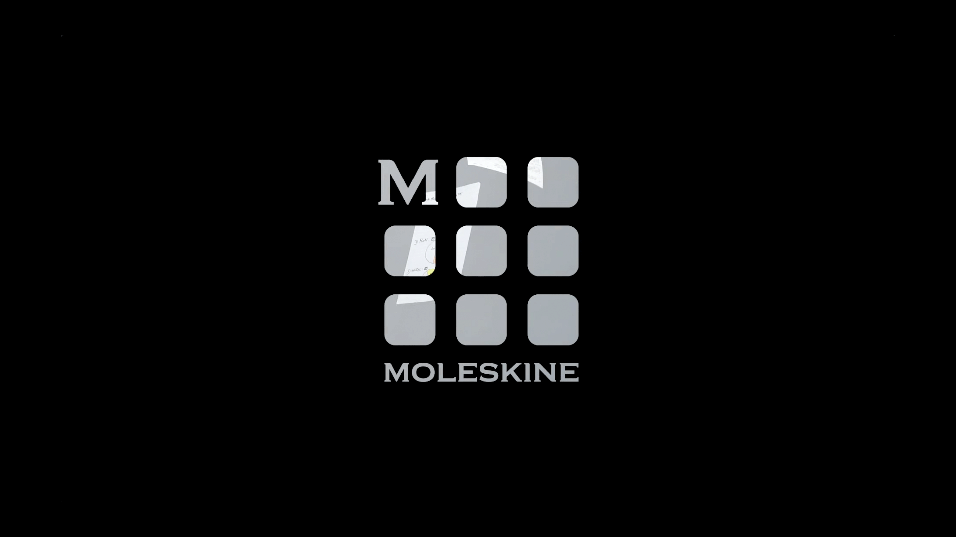 Moleskine – Linea Pro
